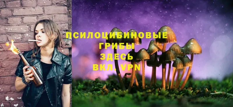 купить наркотики сайты  МЕГА tor  Галлюциногенные грибы Magic Shrooms  Йошкар-Ола 